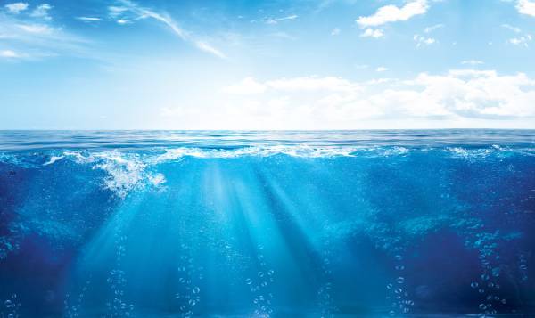 RINA marine decarbonisation