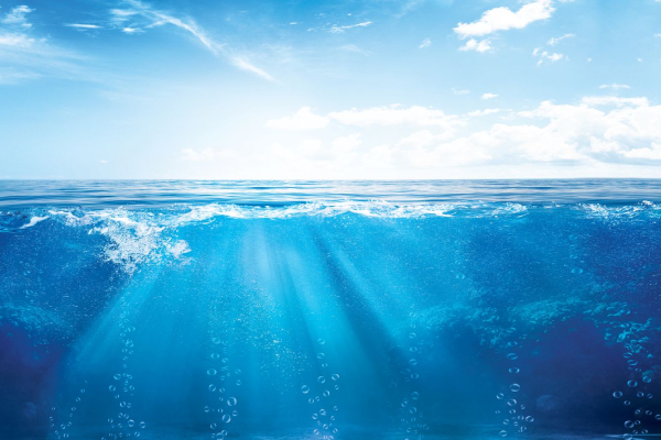 The future of the shipping industry 