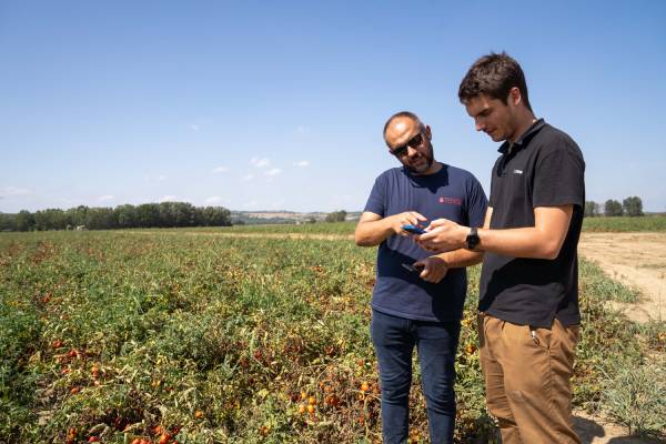 Tomato Farm sceglie RINA e xFarm Technologies per verificare digitalmente l’impronta carbonica dei suoi prodotti