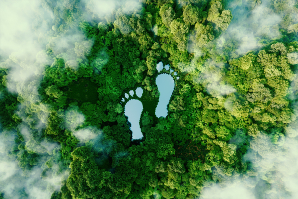 Verifica della Carbon Footprint